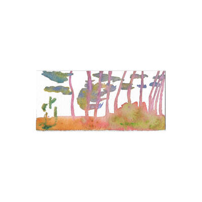  | Cactus