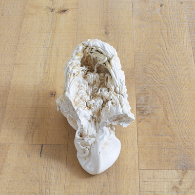  | Conchiglia / Shell