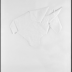 Silvio Balestra | Monocromi Charta _SCALP 7_2017