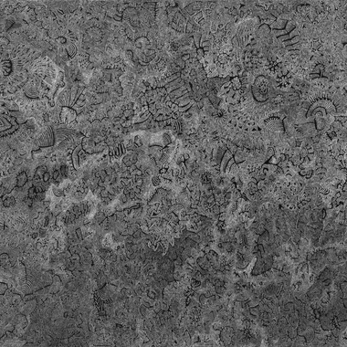 Silvio Balestra | quasi Monocromo Charta_Primordiale 2_2016
