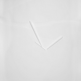 SILVIO BALESTRA | Monocromo Charta_Scalp loop