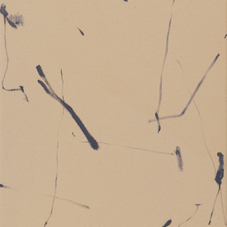 Xu Zheng | Senza titolo