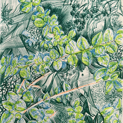 Aldo Dolcetti | PRATONELLA n° 3