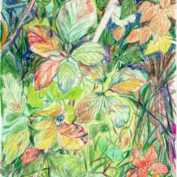 Aldo Dolcetti | PRATONELLA n° 34