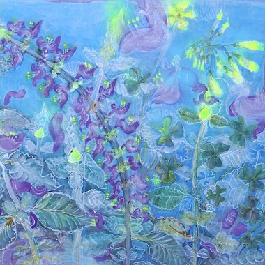 Alfa59 | Coleus Ambinicus e Oxolis