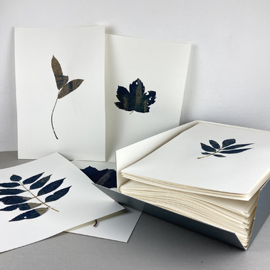 Annalisa Mercuri | Endangered Species