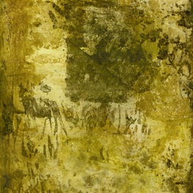 Barbara Rosita Raimondo | Senza titolo dalla serie “esumazioni”