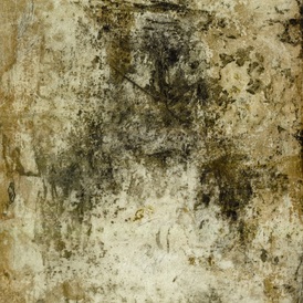 Barbara Rosita Raimondo | Senza titolo dalla serie “esumazioni”