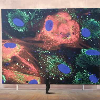 CLAUDIA CANTONI | Quadro nel quadro