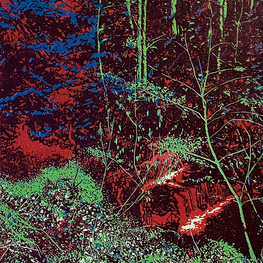 Delamaingauche | Dans les bois #1