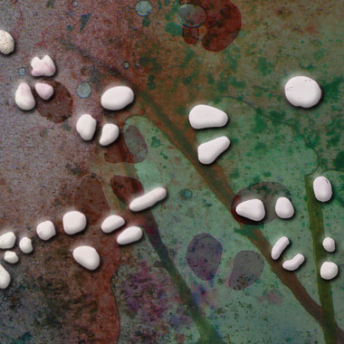 ELISABETTA ACCOTO | Ecobox