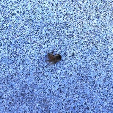 Enrico Budri | 00:01:55