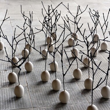 Federica Zianni | Barren Forest