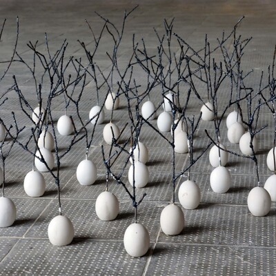  | Barren Forest