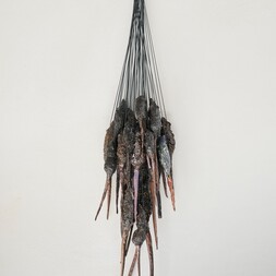 Fiorenza Pancino | Il settimo senso