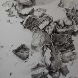 Giulia Federico | Il ciclo della vita