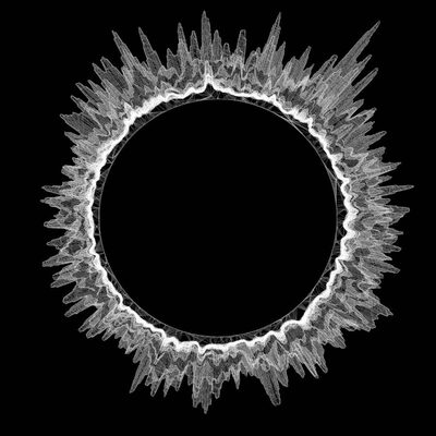  | Cic&agrave;didi, la cadenza della vita