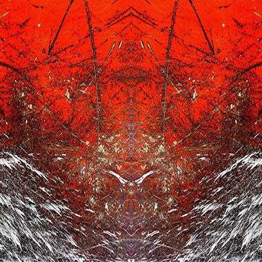 Ingrid Steckelberg | Senza titolo I