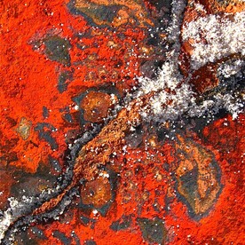 Ingrid Steckelberg | Senza titolo II