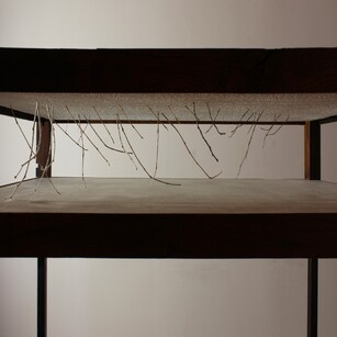 Iside Calcagnile | About fingers