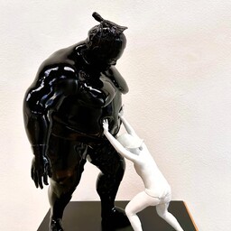 Johan Friso | Micro Sumo