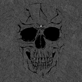 Jonathan Bauccio | Organizzazione