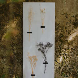 Marco Casalena | Anesthesia L