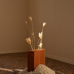 Marco Casalena | Pioneer