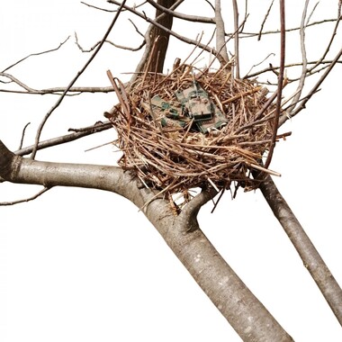 Maria Carolina Arletti | amore fraterno