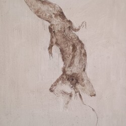 Matteo Ciardini | Senza titolo. Acquerello su tela. . 2016