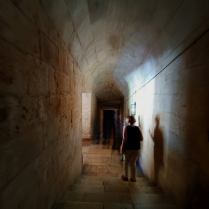  | Phantom Walking