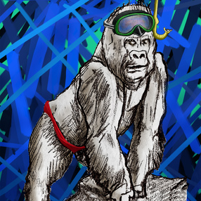 Moreno Gasparetto | Il Gorilla in vacanza.