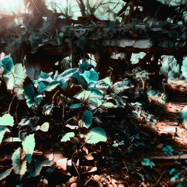 Nilde Mastrosimone | The collission of nature