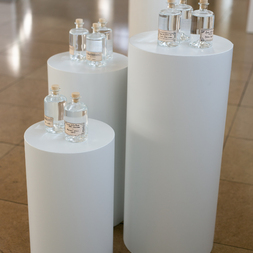 Penelope | Dinosaur’s Pee