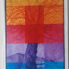 Reveylant | Colori inquadrati