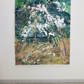 Roos Terra | ’16 november 2024’