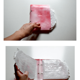 Sara Principi | Ciò che rimane