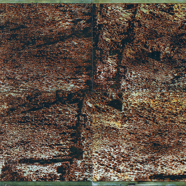 Stefano Minutella | Selenico