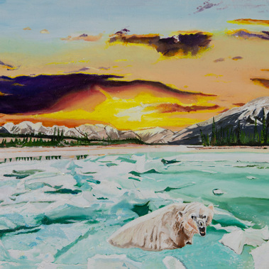 Vattuo | Il mondo dell’orso bianco