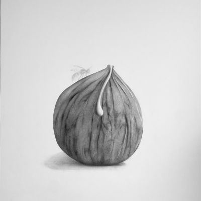  | Sogno causato da una puntura di vespa