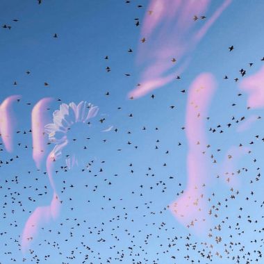 Alessia Piccinetti | MEMORIES