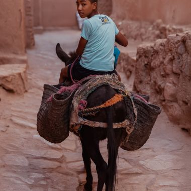 Alessio Angrisano | L’eco del futuro assente