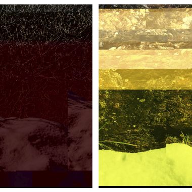 Alice Ippolito | Abitare un corpo