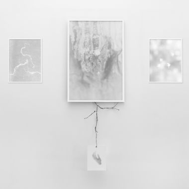 Alice Muratore | Giriamo in tondo nella notte e veniamo consumati dal fuoco