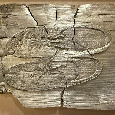 Ari Salomon | Burn Line: ”Lost Shoes”