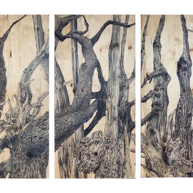 Arianna Atanasio | Scorze