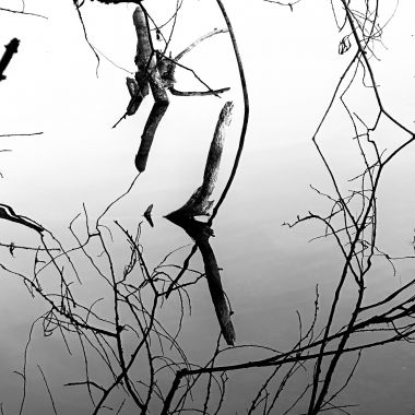 atelier picante | re_reflection