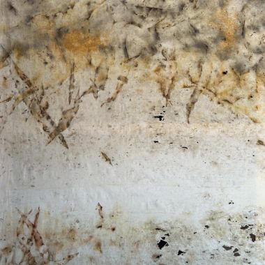 Barbara Visciano | Mutante