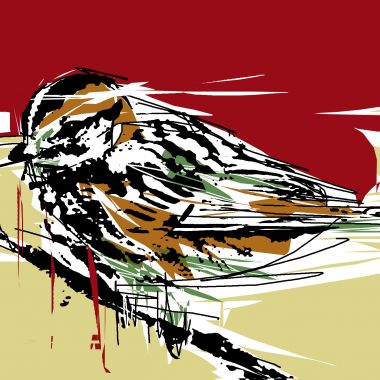 BoJANEIRO | Passero il Jack