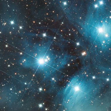 Carlotta Roda | Pleiades